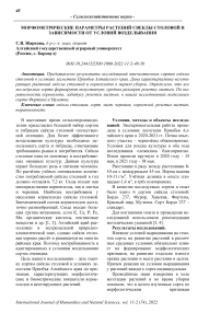 Морфометрические параметры растений свеклы столовой в зависимости от условий возделывания