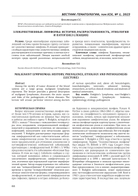 Злокачественные лимфомы: история, распространенность, этиология и патогенез (лекция)