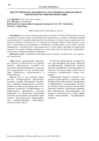 Инструменты реализации государственного финансового контроля в Российской Федерации
