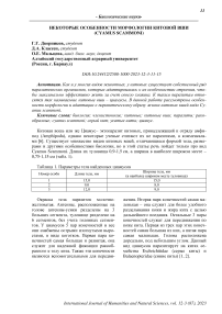 Некоторые особенности морфологии китовой вши (Cyamus scammoni)