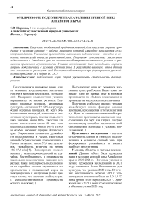 Отзывчивость подсолнечника на условия степной зоны Алтайского края