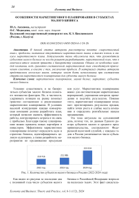 Особенности маркетингового планирования в субъектах малого бизнеса