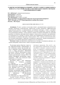 Развитие когнитивных функций у детей старшего дошкольного возраста с расстройствами аутистического спектра методом сенсорной интеграции