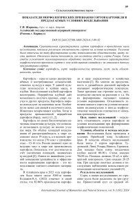 Показатели морфологических признаков сортов картофеля в предлагаемых условиях возделывания