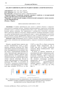 Анализ развития малого и среднего бизнеса в Пермском крае