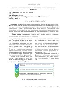 Процесс снижения риска банкротства экономического субъекта