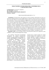 Обнаружение лесных пожаров с помощью БПЛА самолетного типа