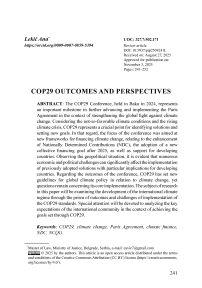 COP29 outcomes and perspectives