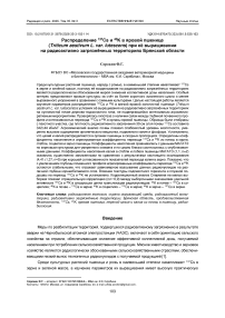 Распределение 137Cs и 40K в яровой пшенице (Triticum aestivum L. var. lutescens) при её выращивании на радиоактивно загрязнённых территориях Брянской области