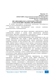 Организация бухгалтерского учета на сельскохозяйственных предприятиях