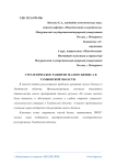 Стратегическое развитие малого бизнеса в Тамбовской области