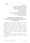 Организация экологического аудита месторождений на примере нефтяной компании АО «Самотлорнефтегаз»