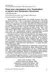 Новые виды энантиорнисов (Aves: Enantiornithes) из верхнего мела Центральных Кызылкумов