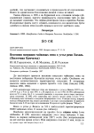 Весенняя миграция майковых птиц в устье реки Вахиль (Восточная Камчатка)