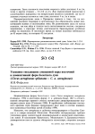 Успешное гнездование смешанной пары восточной и номинативной форм болотного луня (Circus aeruginosas spilonotus х С. a. aeruginosas)