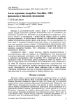 Larus argentatus mongolicus suschkin, 1925: фенология и биология гнездования