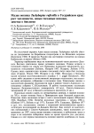 Малая поганка Tachybaptus ruficollis в Уссурийском крае: рост численности, новые гнездовые находки, заметки о биологии