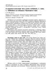 О кормовом поведении чаек (Larus cachinnans, L. сanus, L. ridibundus) на побережье Мраморного моря