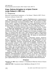 Огарь Tadorna ferruginea на острове Ольхон (озеро Байкал) в 2001 году