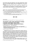 Гнездование кулика-сороки Haematopus ostralegus и большого веретенника Limosa limosa в Каргопольском районе Архангельской области