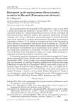 Весенний залёт шилоклювок Recurvirostra avosetta на Валдай (Новгородская область)