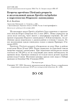 Встреча кречётки Chettusia gregaria и желтоклювой цапли Egretta eulophotes в окрестностях Норского заповедника