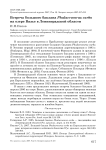 Встреча большого баклана Phalacrocorax carbo на озере Вялье в Ленинградской области