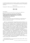 Встреча выводка ореховки Nucifraga caryocatactes в Ломоносовском районе Ленинградской области