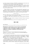 Кормовое поведение галок Corvus monedula и других птиц, имеющих морфологические дефекты клюва и нижних конечностей