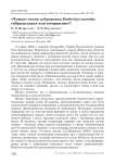 «Чужая» песня дубровника Emberiza aureola: гибридизация или импринтинг?