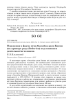 Изменения в фауне птиц бассейна реки Бикин (на примере рода Emberiza) под влиянием деятельности человека