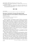 Питание гнездовых птенцов белошапочной овсянки Emberiza leucocephala в Омской области