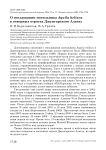 О гнездовании могильника Aquila heliaca в северных отрогах Джунгарского Алатау