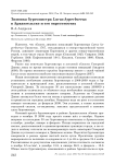 Зимовка бургомистра Larus hyperboreus в Архангельске и его окрестностях