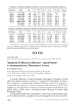 Зарянка Erithacus rubecula - пролётный и зимующий вид Западного Алтая