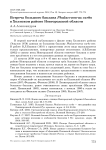 Встреча большого баклана Phalacrocorax carbo в Холмском районе Новгородской области