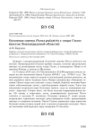 Болотная гаичка Parus palustris у озера Силос (восток Ленинградской области)