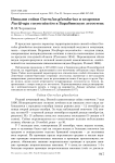 Инвазии сойки Garrulus glandarius и кедровки Nucifraga caryocatactes в Барабинскую лесостепь