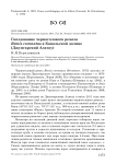 Гнездование черноголового ремеза Remiz coronatus в Капальской долине (Джунгарский Алатау)