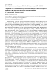 Первое нахождение буланого вьюрка Rhodospiza obsoleta в Наурзумском заповеднике (Северный Казахстан)