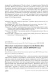 Массовое появление свиристелей Bombycilla garrulus в Магадане зимой 2009/2010 года