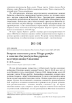 Встречи охотского улита Tringa guttifer и лопатня Eurynorhynchus pygmeus на северо-западе Сахалина