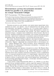 Нетипичные случаи гнездования овсянок Emberiza pusilla и E . schoeniclus на севере Западной Сибири