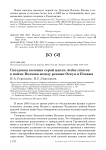 Гнездовая колония серой цапли Ardea cinerea в пойме Волхова между реками Оскуя и Пчевжа