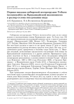 Первая находка сибирской пестрогрудки Tribura tacsanowskia на Приханкайской низменности в разгар сезона гнездования вида