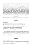 Залёт туркестанского белого аиста Ciconia ciconia asiatica на Капчагайское водохранилище (Алма-Атинская область, Казахстан)