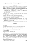 Способ отлова дроздовидных камышевок Acrocephalus arundinaceus у гнёзд