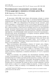 Колониальное гнездование лугового луня Circus pygargus в нижнем течении реки Или