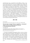 Экземпляр глухаря Tetrao urogallus с западным типом песни на Кауштинском болоте в Ленинградской области