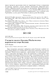 О встрече малого баклана Phalacrocorax pygmaeus на озере Балхаш